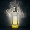 Le Jardin De Monsieur Li by Hermes, 3.4 oz EDT Spray Unisex - Unik Glow